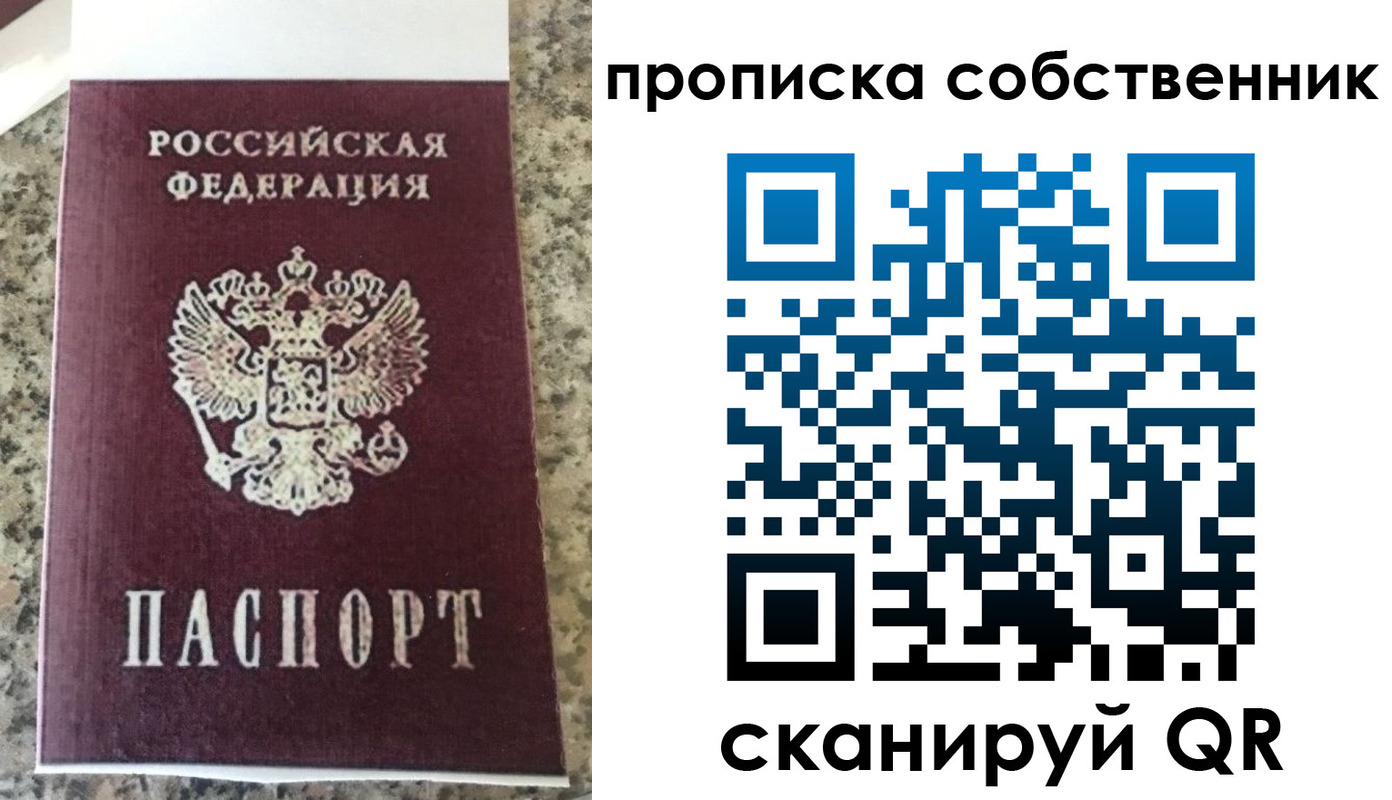 прописка для школы в Всеволожске